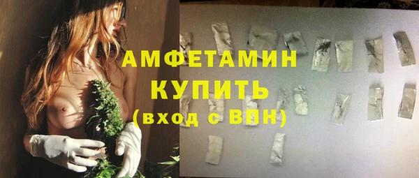 амф Верея