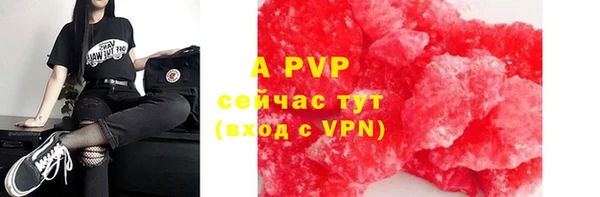 прущие грибы Волоколамск