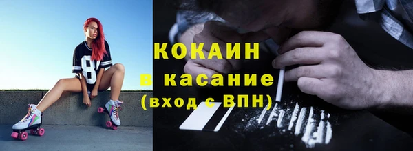 прущие грибы Волоколамск