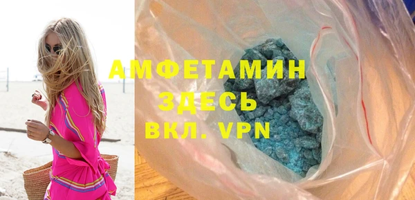 прущие грибы Волоколамск