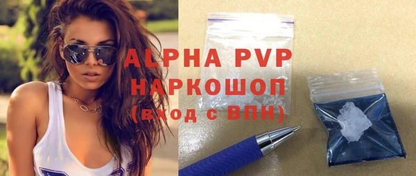 прущие грибы Волоколамск