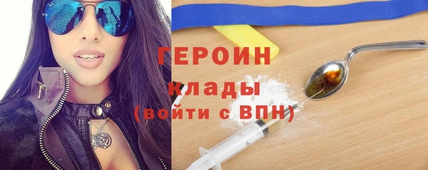 прущие грибы Волоколамск